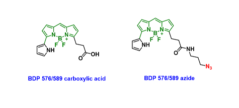 BDP 576/589